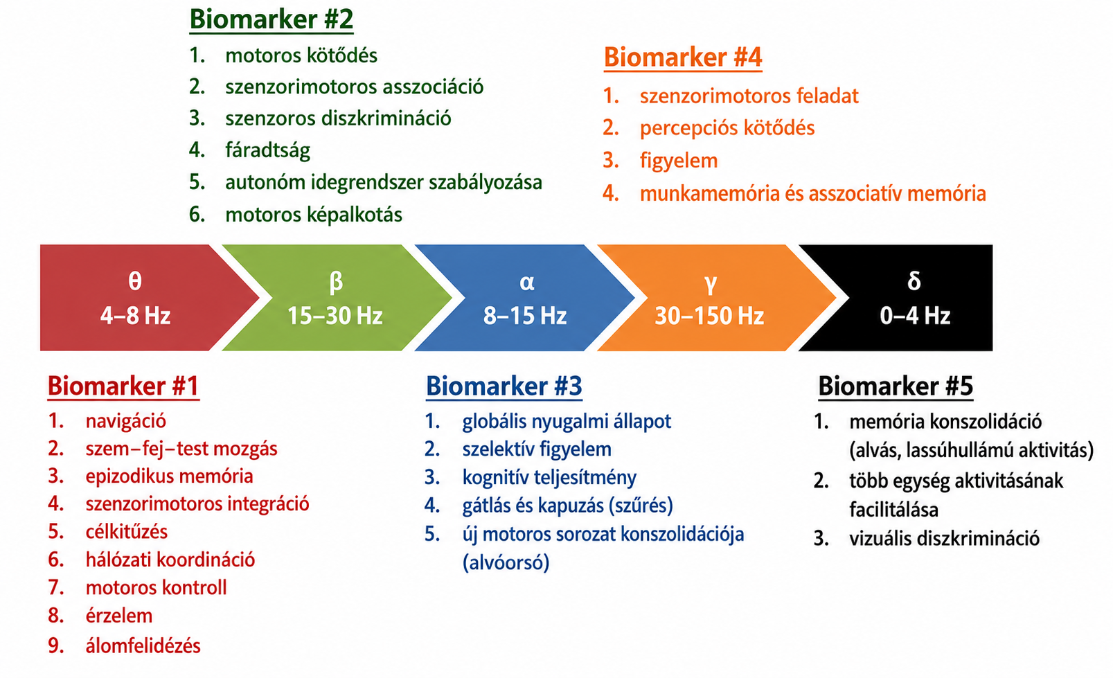 EEG biomarkerek sportteljesítményben - összefoglaló táblázat