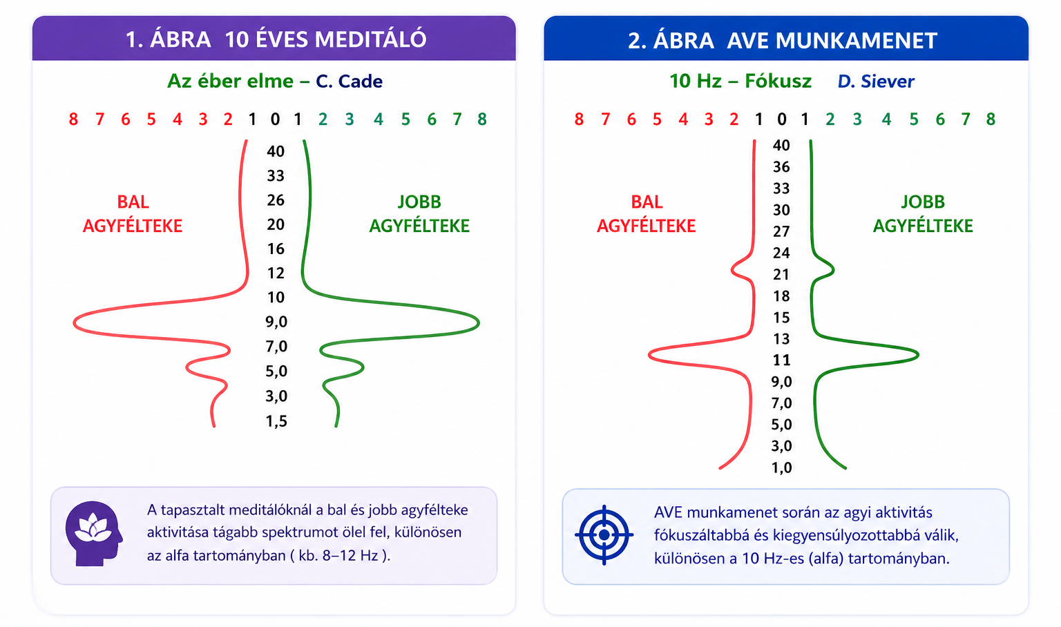 10 éves meditátor vs. AVE 10Hz agyhullám-összehasonlítás